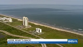 WATCH: The blue water is back for a second year in a row! Air 11 is over the Gulf in Galveston.