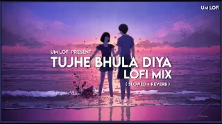 Tujhe Bhula Diya Slowed Reverb | Lofi Mix | Mohit Chauhan & Shekhar Ravjiani | Hip-hop | UM Lofi