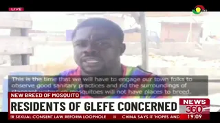 News breed of mosquito: Residents of Glefe concerned.