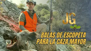 Shotgun bullets for big game | J&G Brenneke | Wild boar hunting with shotgun