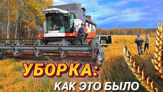 Уборка зерновых культур 2023. Комбайн Акросс 530. Работа ОВС-25.