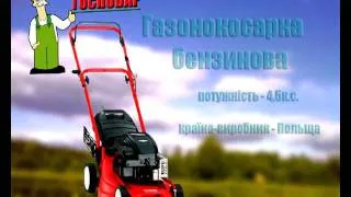 Господар кліп