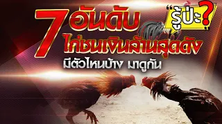 7 อันดับ ไก่ชนเงินล้าน สุดดังมีตัวไหนบ้างมาดูกัน