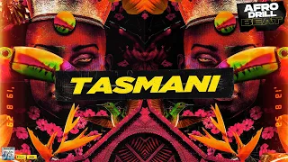 AFRO DRILL Type Beat 2023 - AfroDrill - Afro Trap Instrumental 2023 "Tasmani"