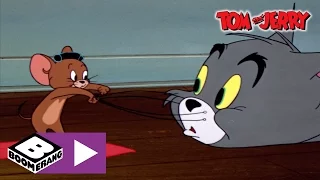 Tom und Jerry | El Magnifico | Cartoonito