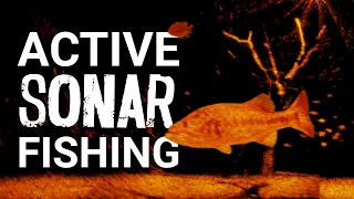 Active Sonar Fishing: What Is It & How Does It Work?