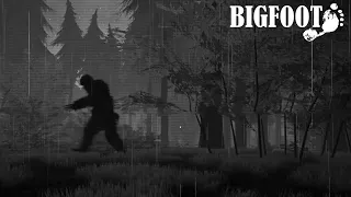 ПОЙМАЛИ БИГФУТА - BIGFOOT