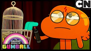 You're a Wizard, Darwin | The Blame | Gumball | Cartoon Network