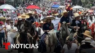 Marchan en México a favor de las corridas de toros y las peleas de gallos | Noticias Telemundo