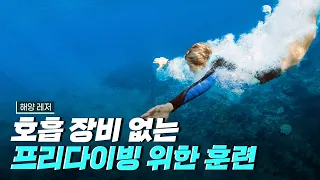 [핫클립] 프리다이빙을 위한 다이빙 훈련 / YTN 사이언스