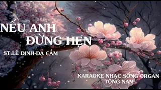 Nếu anh đừng hẹn karaoke nhạc sống tông nam