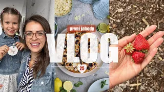 První jahody | #25/2023 | MaruškaVEG