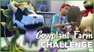 A Cozy Curse-Free Farmhouse! 🐄🌱 Sims 4 Cowplant Farm: Episode #30