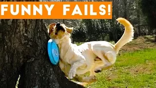 TRY NOT to LAUGH Animals FUNNY PET FAILS Compilation  2018 | Epic Pet Videos & Moments