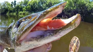 Pike And Muskie Were CRUSHING The Whopper Plopper!