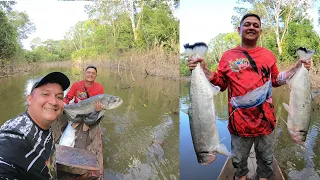 Pesca de bagre, palometa y  payara con anzuelo en San José del Guaviare Colombia.