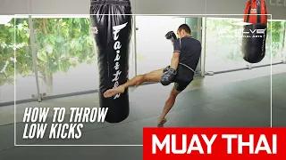 Muay Thai | How to Throw Low Kicks