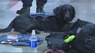 Virginia Task Force 1 heads to Florida to prepare for hurricane response