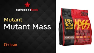 Mutant | Mutant Mass | Feedback | Analysis | Result from the reception | Is it worth buying