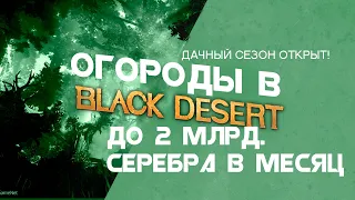 Гайд - Огород и урожай Black Desert