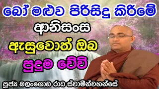 ඔබත් හැකි සෑම අවස්ථාවකදීම  බෝ මළුව පිරිසිදු කරන්න. පූජ්‍ය බලංගොඩ රාධ ස්වාමීන්වහන්සේ.