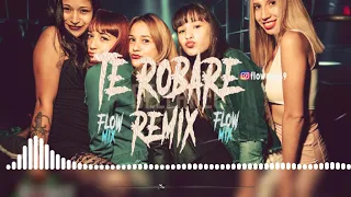 TE ROBARE REMIX   NICKY JAM   OZUNA  X DJ TAO (FLOW MIX) 2019