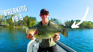 Catching My Biggest Bass Of The Year