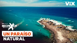 Nayarit: Naturaleza, magia, surf y mucho más | Reconexión | ViX