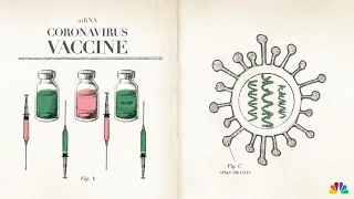 How Do the mRNA COVID-19 Vaccines Work? | NBC10 Philadelphia