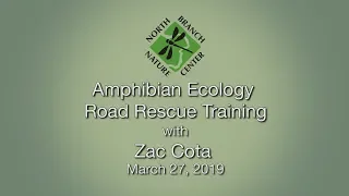 North Branch Nature Center - Amphibian Ecology Road Rescue Training