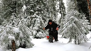 РЫБАК НАШЁЛ В ЛЕСУ ОЗЕРО И ОБАЛДЕЛ. РЫБАЛКА В МАРТЕ НА ЖЕРЛИЦЫ И МОРМЫШКУ. ВЕСЕННИЙ ЖОР.