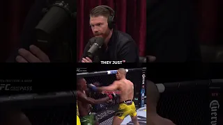 Alex Pereira Is DANGEROUS - Joe Rogan & Paul Felder