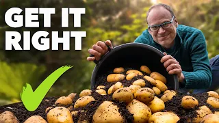 Potato Growing Masterclass: My Tips for a Bigger, Better Harvest