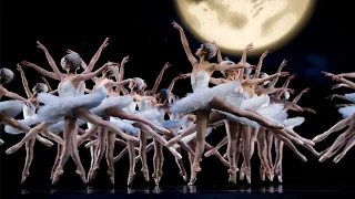 2016 Repertory Season: Swan Lake