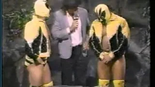 Snake Pit with Killer Bees (07-04-1987)