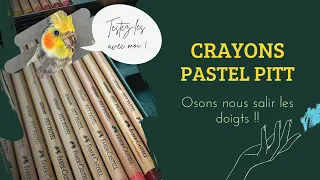 Les Pitt pastel de Faber Castell - Osons nous salir les doigts !