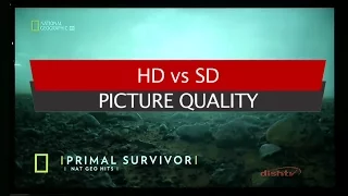 SD vs HD picture - explained through DishTV Set Top Box