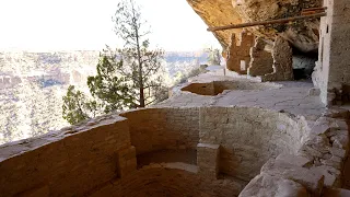 National Parks in the History of Science: Dendrochronology