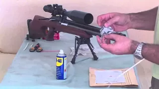 Air rifle barrel cleaning - easy, quick, cheap and effective