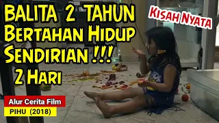 BALITA 2 TAHUN BERTAHAN HIDUP 2 HARI SENDIRIAN || Alur cerita film pihu (2018)