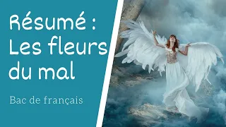 Les Fleurs du mal - Baudelaire Résumé