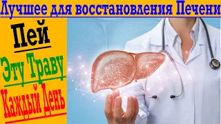 Для очистки и восстановления печени - Как принимать траву расторопшу !