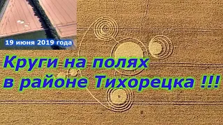 Круги на полях в районе Тихорецка !!! ЦГТМ