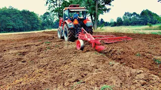 🔥Massey daje po garach! czyli🔥obornik i Orka 2020🔥