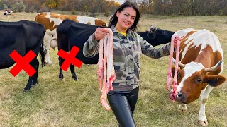 😲Тушеный БЫЧИЙ ЧЛ*Н с Овощами на Костре! Такое не готовил еще никто