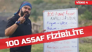 100 ASSAF KOYUNU KAPALI SİSTEM KOYUNCULUK | GELİR GİDER FİZİBİLİTE