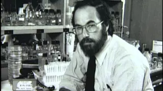 David Baltimore -  1999 National Medal of Science