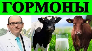 Влияние Гормонов Молочных Продуктов  на Развитие Рака - Доктор Майкл Грегер