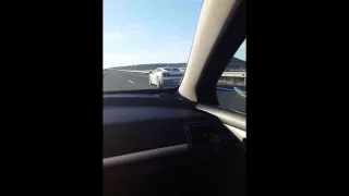 Peugeot 407 vs Lamborghini