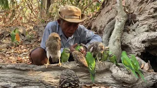 A older man see many birds in the forest. #birds #nature #animals #wildlife #tree  #forest